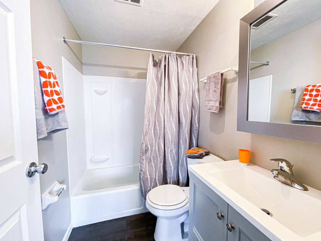 a bathroom with a sink and a toilet and a shower